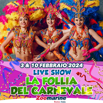 LA FOLLIA DEL CARNEVALE