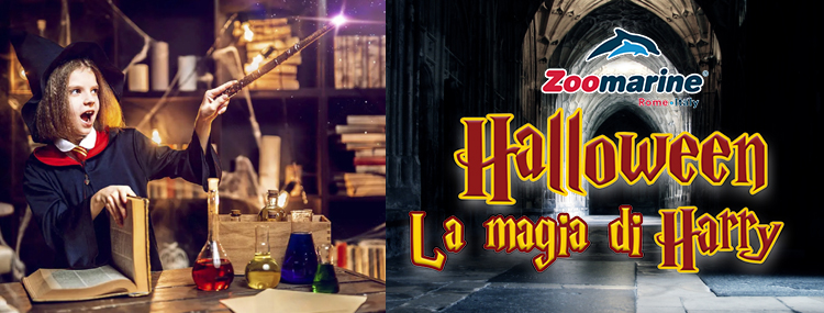 LA MAGIA DI HARRY