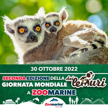 LEMURI DAY