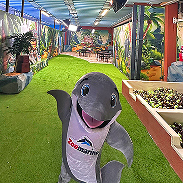 Sala COMPLEANNO PIRATI parco divertimento e acquatico Zoomarine