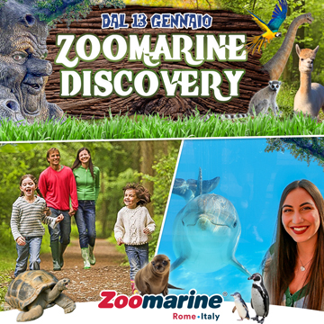 zoomarine discovery fino al 24 marzo